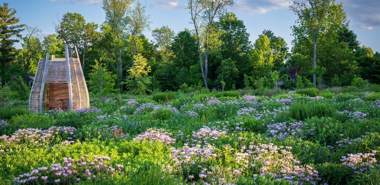 Sustainable Gardening Made Easy with Smart Tech