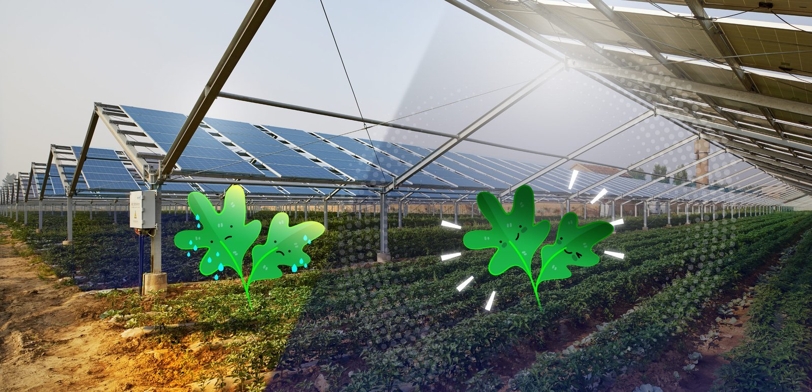 Save Water, Save Energy: Eco-Friendly Gardening with Smart Systems